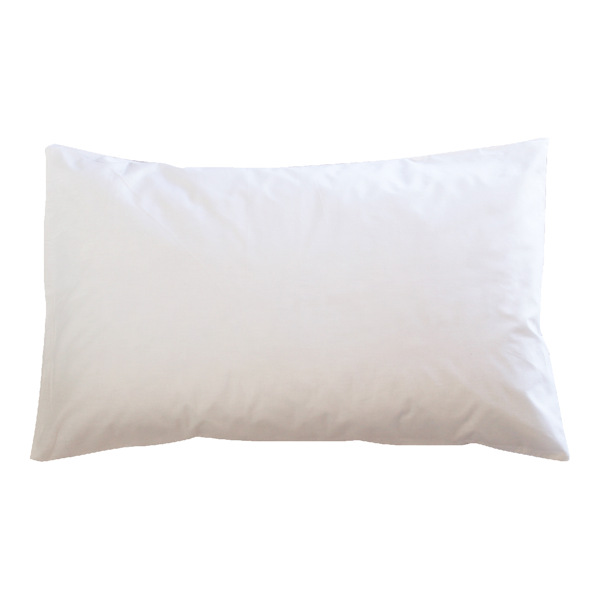 Everest Pillow 50X70CM, EVE-2779